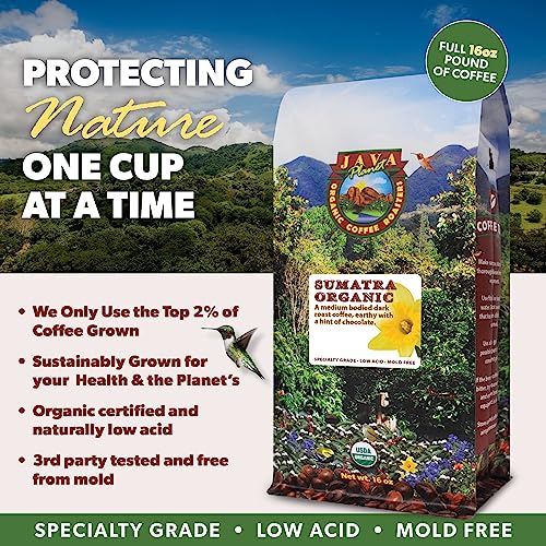 Low Acid Organic Coffee Beans Whole (16 Ounce)