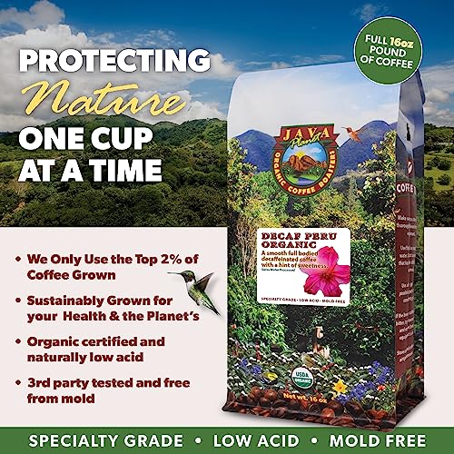 Organic Mold Free Coffee (80 Ounce)