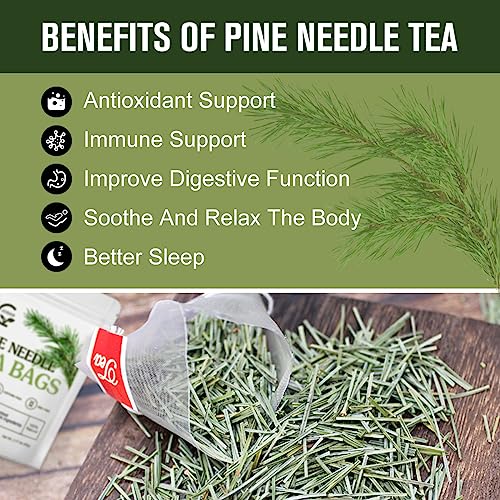 Organic Pine Needle Tea Bags (30 Count)
