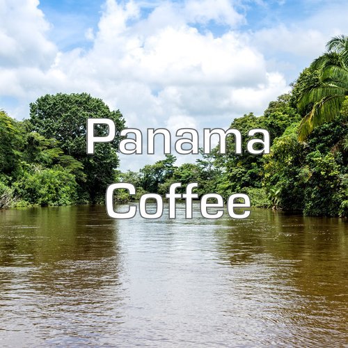 Panama Coffee (16 Ounce)