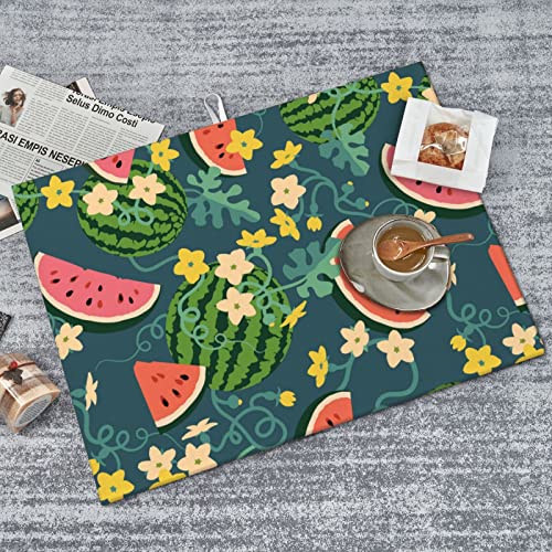 Large Dish Drying Mats For Kitchen Counter Microfiber Kitchen Drying Mat XL Draining Pad Absorbent Quick Drying Dish Mat 18x24 Inch