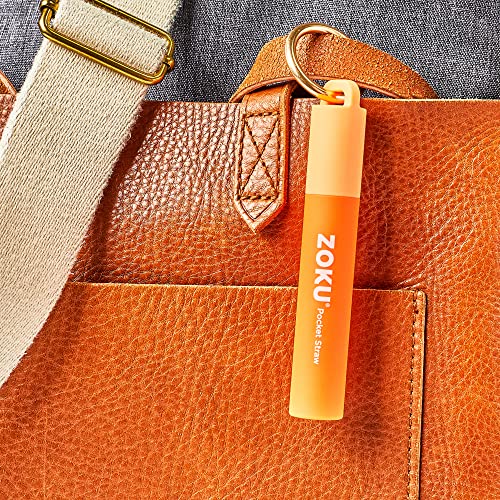 Reusable Metal Straw with Case