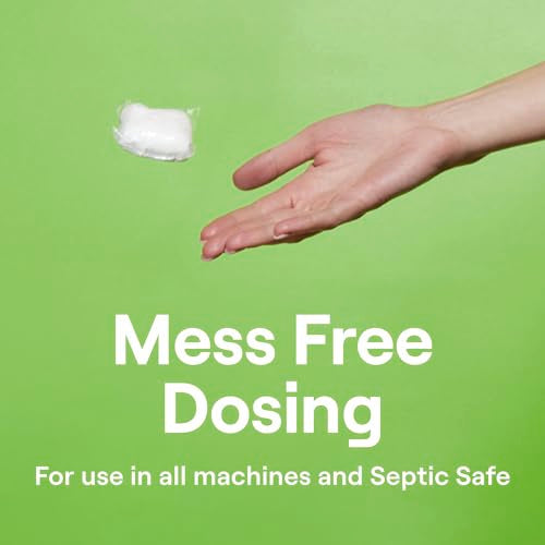 Dishwasher Cleaning Packs 6 Count Free & Clear Removes odor (4.2 Ounce)