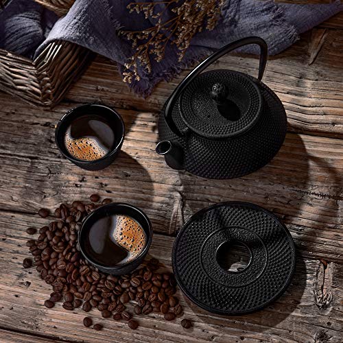 Cast Iron Teapot Set with Infuser