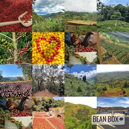Half Moon Half Caff (32 Ounce)