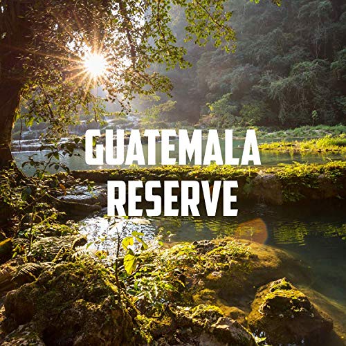Guatemala Antigua Coffee (80 Ounce)