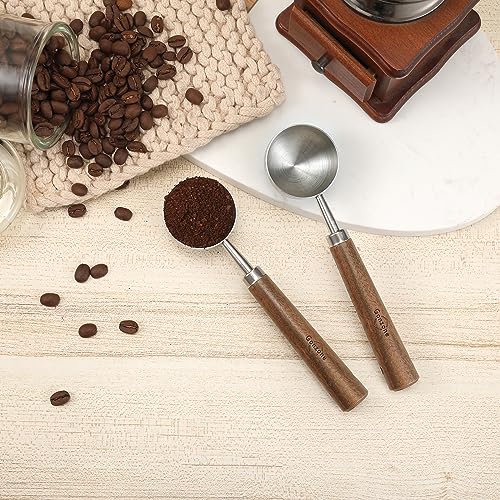 Vintage Coffee Measuring Spoon (2 Count)