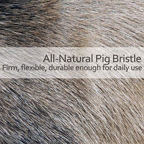 Natural Pig Bristle Espresso Maker Brush with Oiled Thermowood Handle