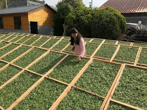 Organic Jasmine Silver Tip Green Tea
