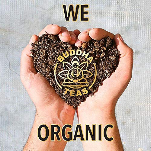 Organic Bilberry Leaf Tea (18 Count)