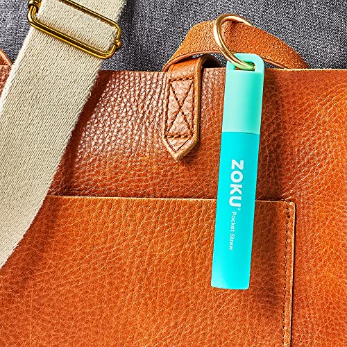 Reusable Metal Straw with Case