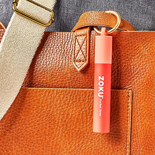 Reusable Metal Straw with Case