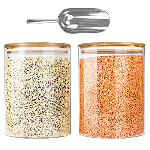 Glass Jars with Airtight Lids (2 Count)