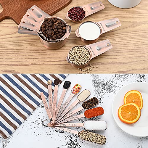 Copper Measuring Spoons Set 10