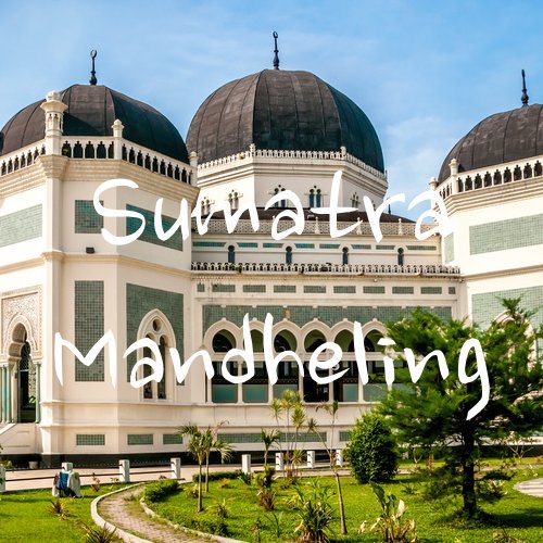 Sumatra Mandheling Coffee Beans (80 Ounce)