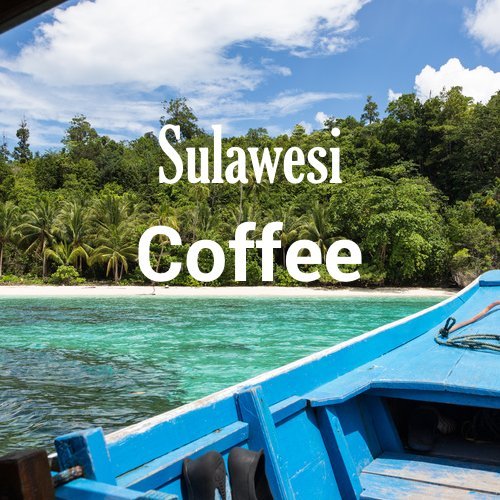 Sulawesi Coffee (16 Ounce)