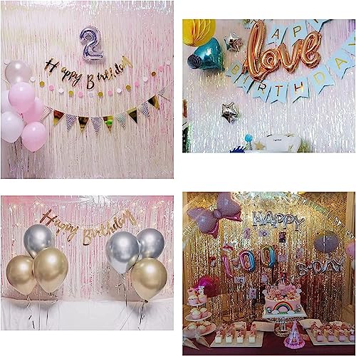 Iridescent Fringe Backdrop (2 Count)