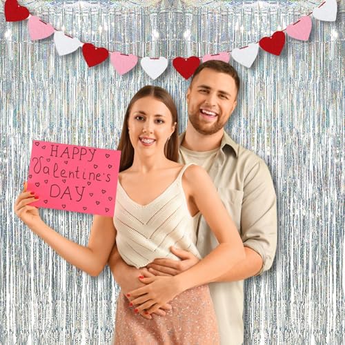 Silver Streamers Party Fringe Backdrop Christmas Decorations (2 Count)