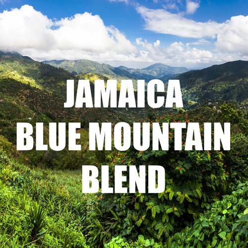 Jamaica Blue Mountain Coffee Blend (80 Ounce)