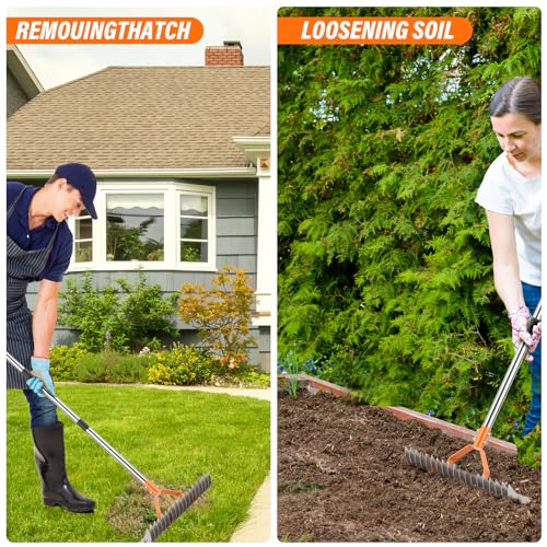 62" Adjustable Thatch Rake