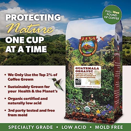 Low Acid Organic Whole Bean Coffee (80 Ounce)