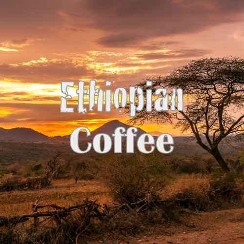 Coffee Lover Gift Box, Ground, Fresh Roasted, 4 X 16-ounces, Costa Rica Original, Guatemala, Ethiopian, Colombian Supremo