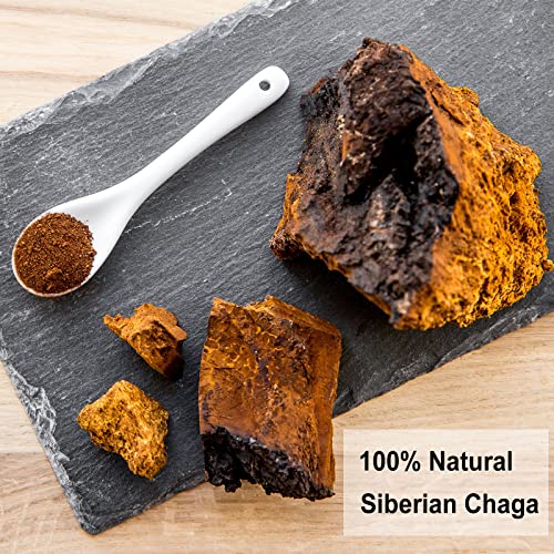 Chaga Tea from Siberia (40 Count)
