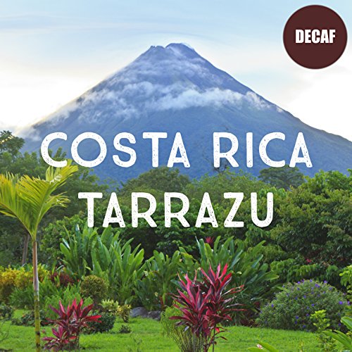 Costa Rica Decaf Tarrazu Coffee (16 Ounce)