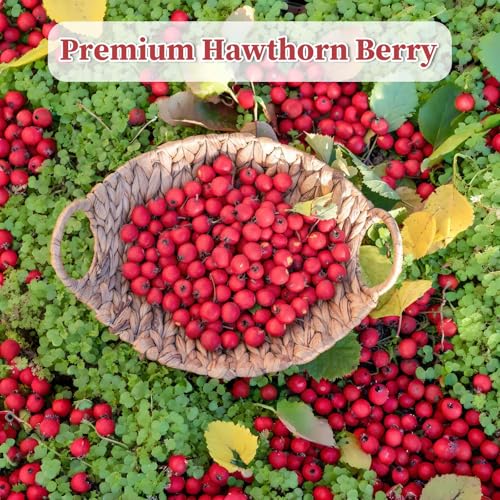 Hawthorn Berry Tea Bags (50 Count)