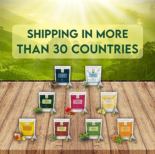 Lemon Ginger Green Tea Bags (50 Count)