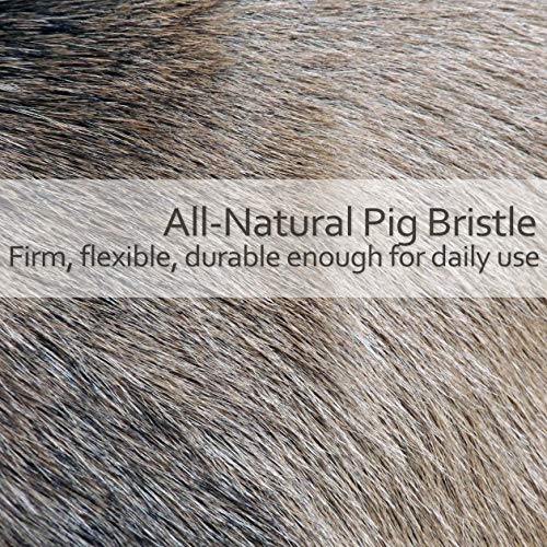 Natural Pig Bristle Espresso Maker Brush with Oiled Beechwood Handle