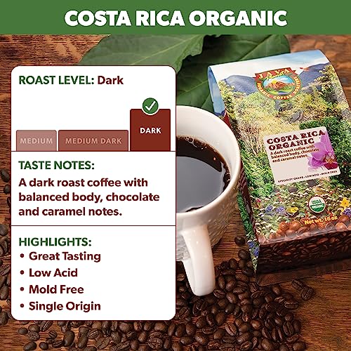 Organic Coffee Whole Beans (32 Ounce)