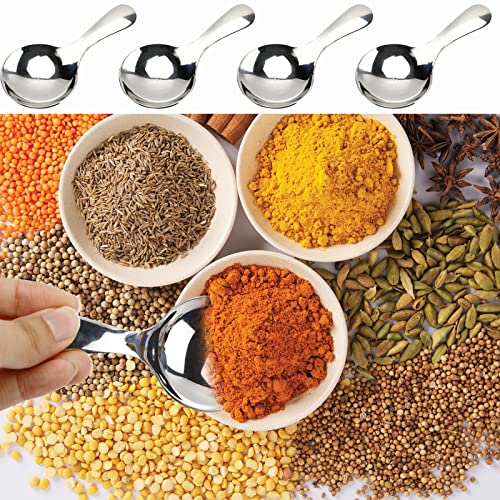 6 Piece Small Stainless Steel Spice Spoons (6 Count)