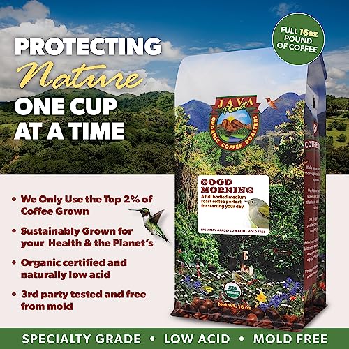 Organic Whole Coffee Beans (32 Ounce)