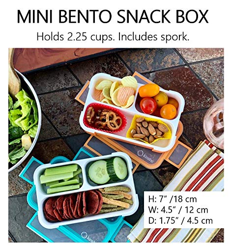 Small Snack Box Containers Set of 4 (4 Count)