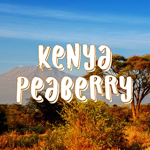 Kenya Peaberry Coffee (80 Ounce)