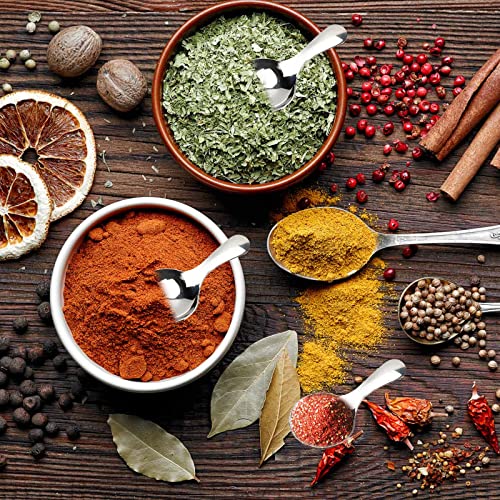 6 Piece Small Stainless Steel Spice Spoons (6 Count)