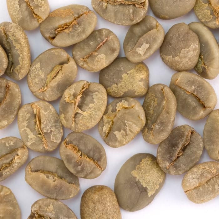 Unroasted Brazilian Santos (80 Ounce)
