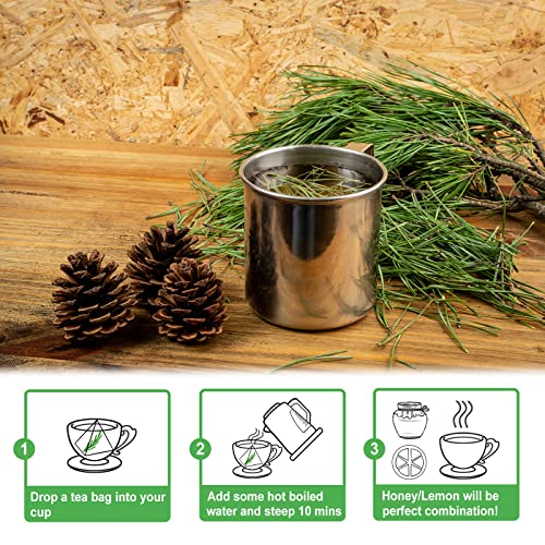 Pine Needle Tea Bags (40 Count)
