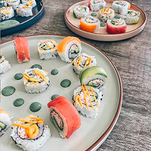 Ceramic Flat Dinner Plates Set of 6 (6 Count)
