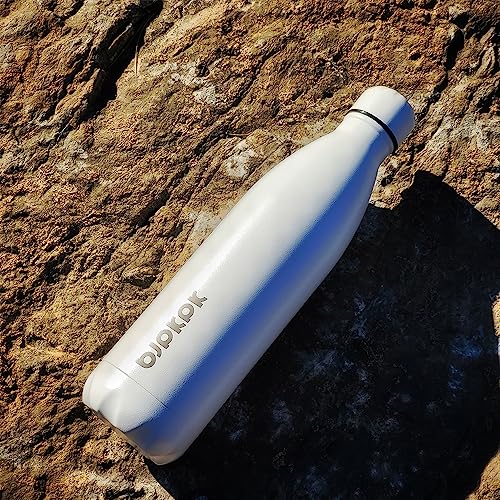 25 oz Insulated Water Bottle