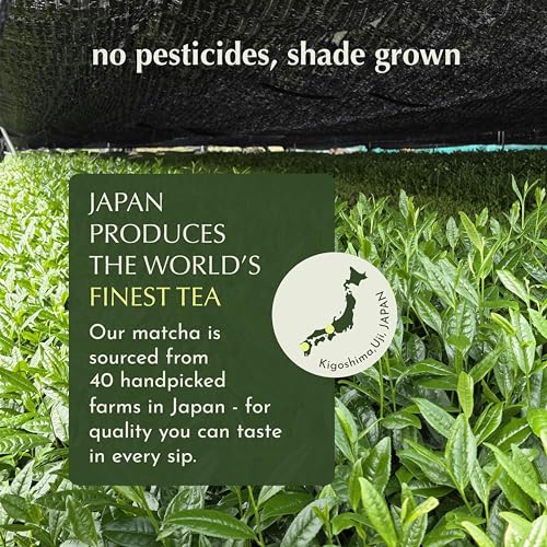 Matcha Latte Powder (2.12 Ounce)