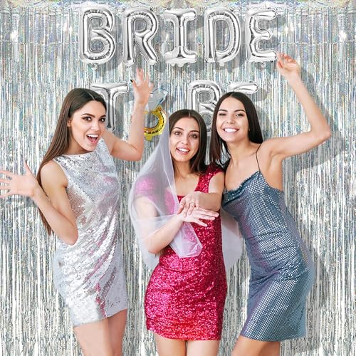 Silver Streamers Party Fringe Backdrop Christmas Decorations (2 Count)