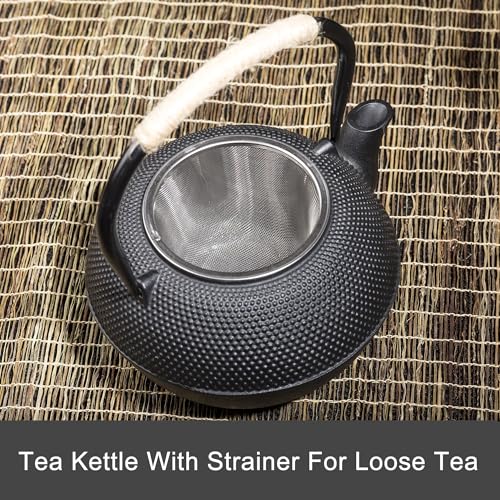 Black Cast Iron Teapot