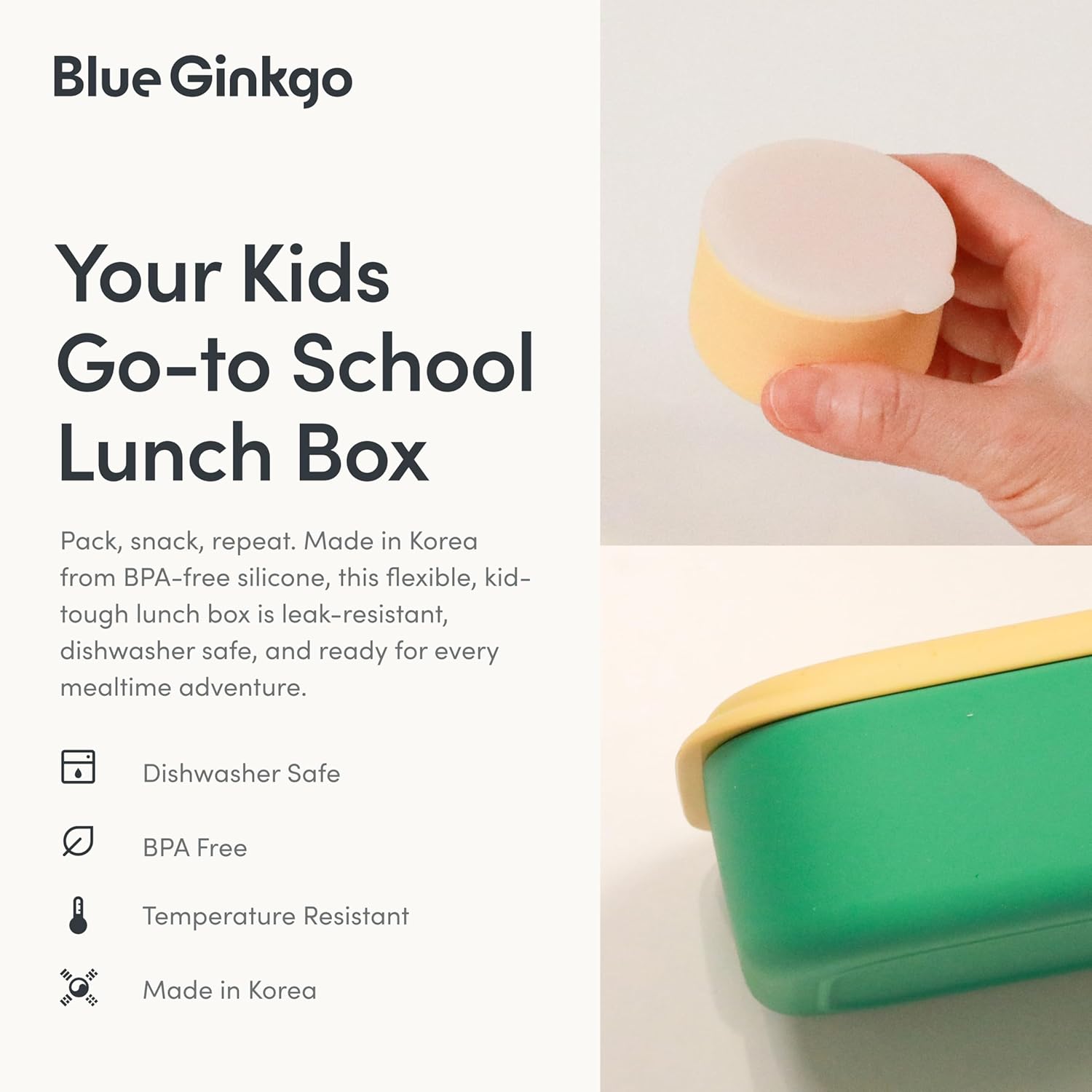 BLUE GINKGO Silicone Lunch Box Set – Durable Heavy-Duty Silicone Bento Box, Microwave, Freezer, Dishwasher Safe – Airtight, BPA Free (Made in Korea, Green) - Blissbrew
