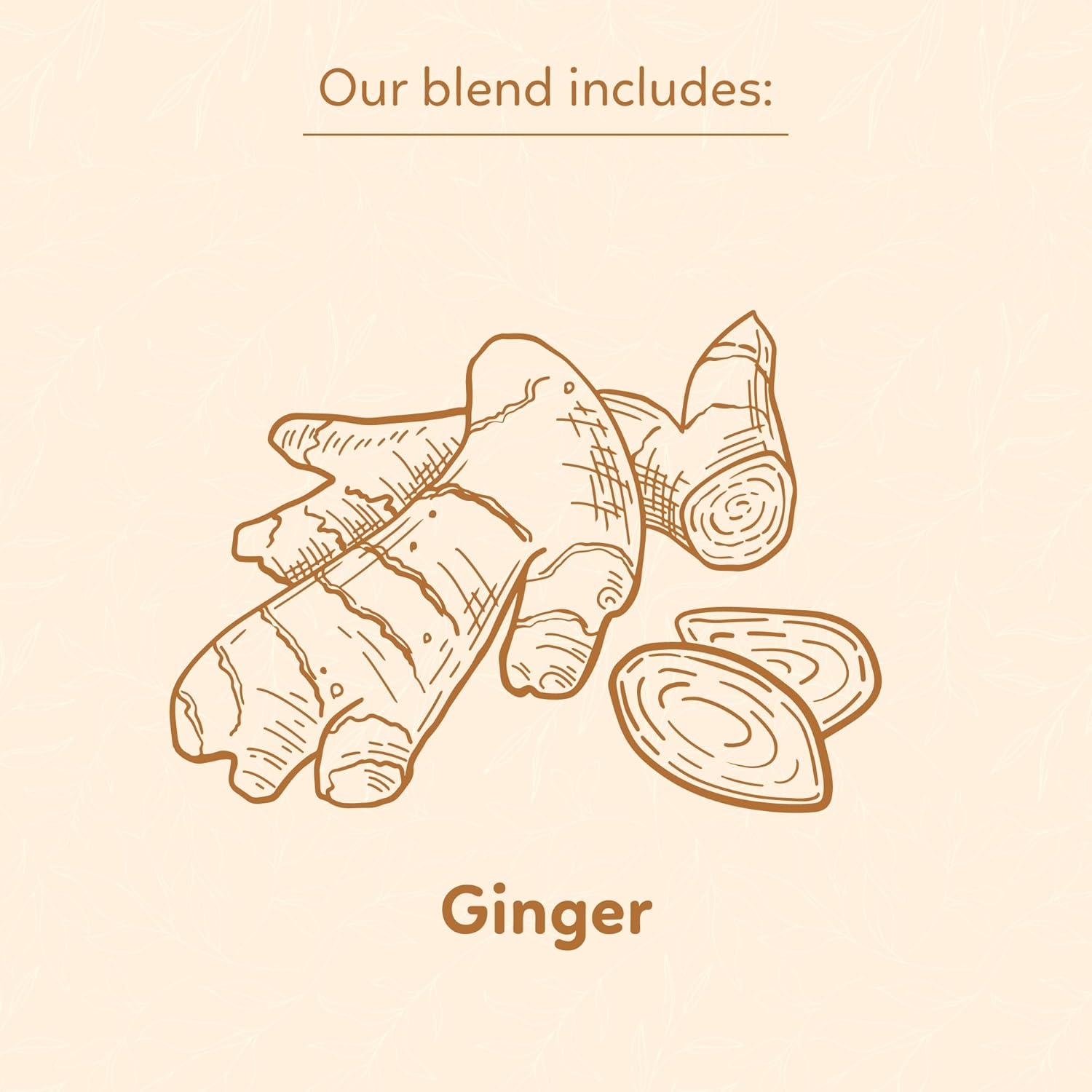 Indochine Blends, Ginger Tea Bags, 50 Teabags, 2g/bag, Individually Wrapped Envelopes, Caffeine-free, No Sugar, Healthy Belly Herbal Tea Supports Digestion & Boosts the Immune System