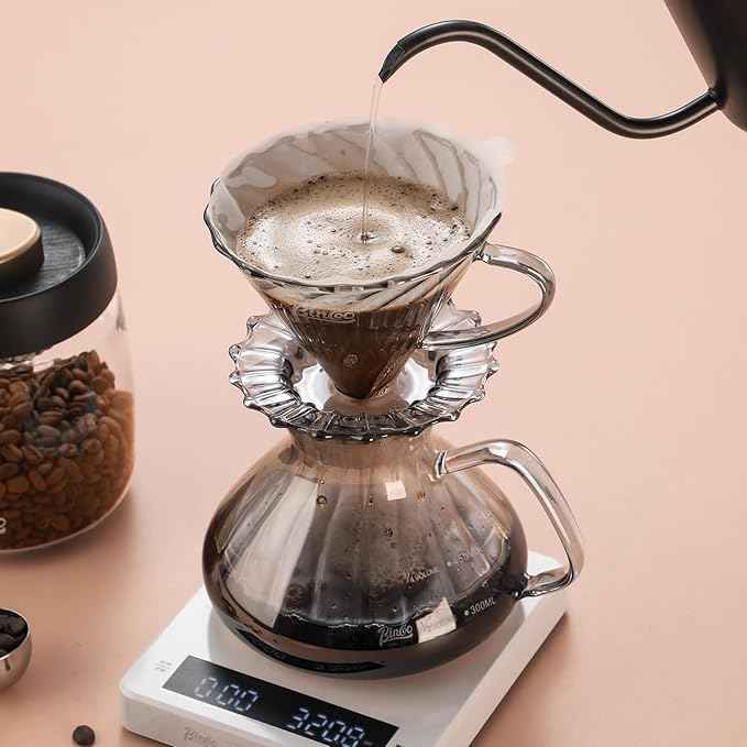 Bincoo Pour Over Coffee Maker Set,650ML Borosilicate Glass Carafe with Coffee Driper&50pcs Paper Filter,Glass Coffee Maker for Home Café Restaurant(Gray)
