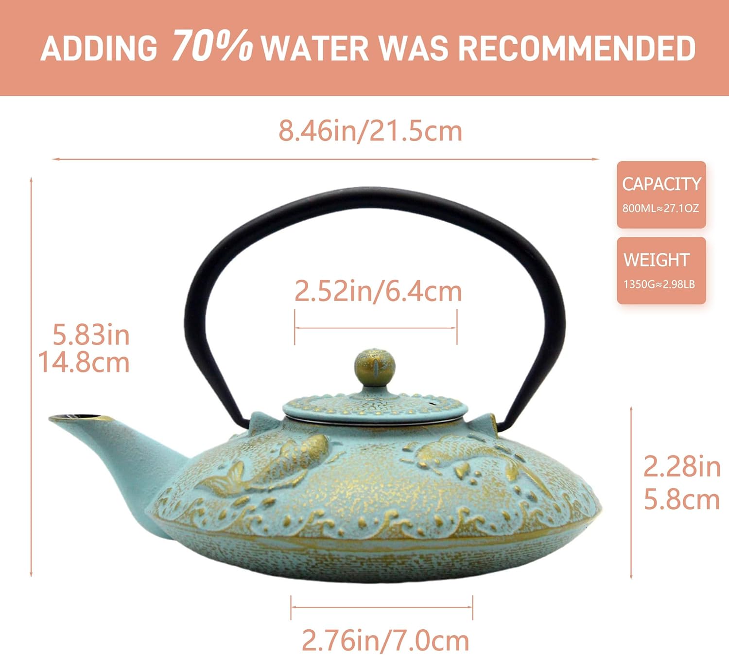 27.1oz Small Cast Iron Teapot, SECHUDO Japanese Style Tea Kettle Coated with Enameled Interior for Stovetop Safe,Cast Iron Tea Pot with Stainless Steel Strainer for Loose Leaf,Flat Fish Pattern(800ml)