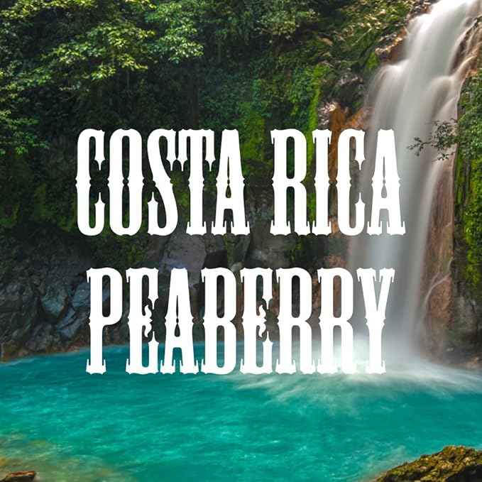 Coffee Connoisseur Gift Box, Whole Bean Peaberry, Jamaica Blue Mountain, Costa Rica, Brazil, Bolivia, Fresh Roasted, 4 x 16-ounce Bags