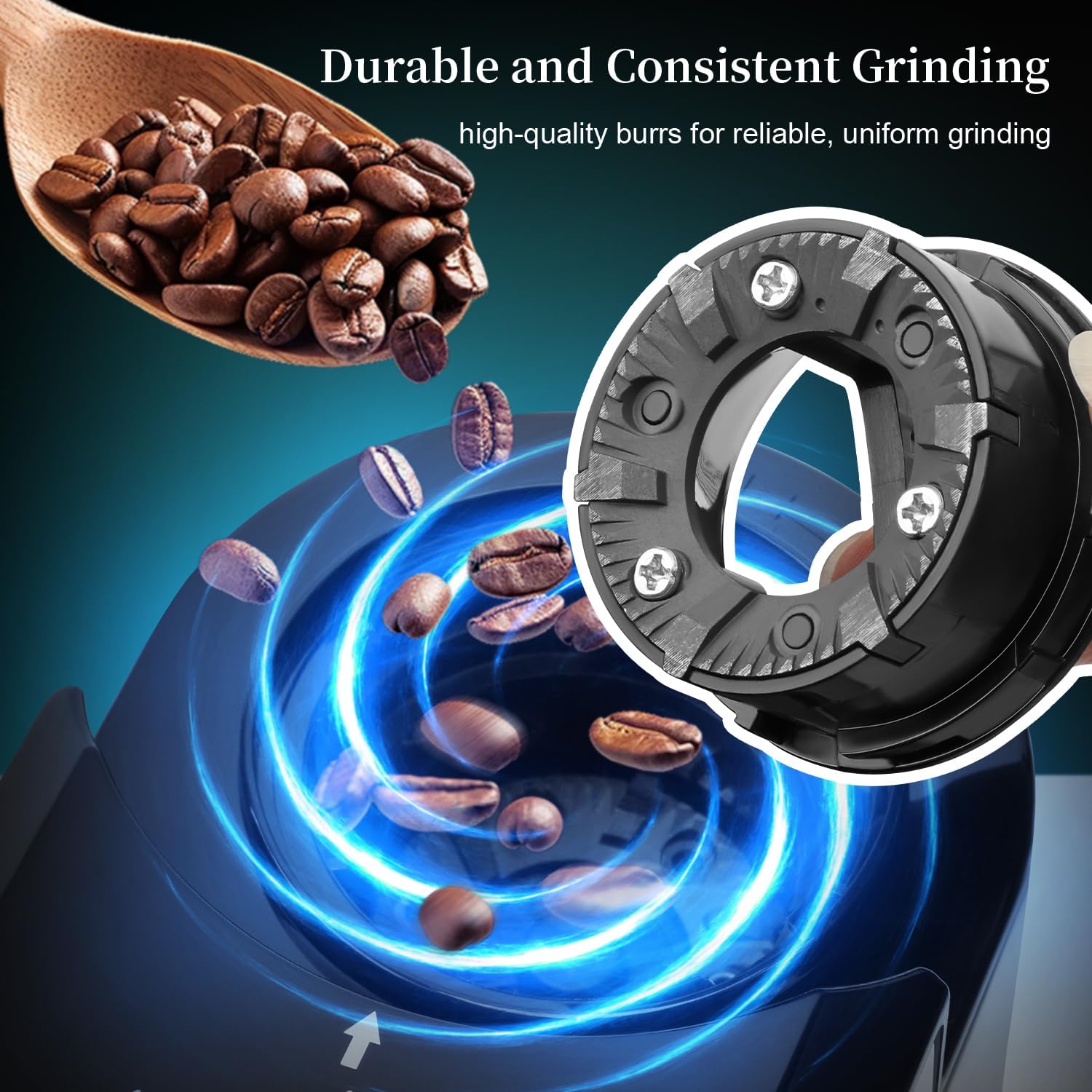 Wancle Burr Coffee Grinder Flat Burr Coffee Grinder with 28-Setting, Precise Grinding with 2-12 Cup Capacity, Easy to Clean, Compact and Space-Saving Design - Blissbrew